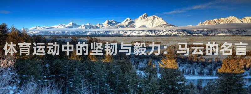 球王会体育：体育运动中的坚韧与毅力：马云的名言