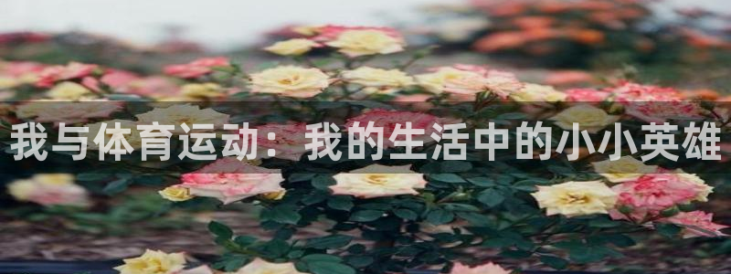 球王会体育：我与体育运动：我的生活中的小小英雄