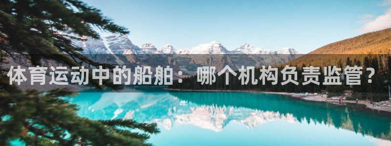 球王会体育：体育运动中的船舶：哪个机构负责监管？