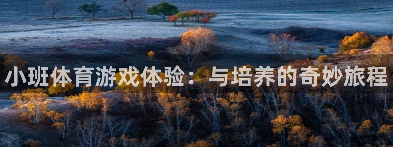 球王会体育：小班体育游戏体验：与培养的奇妙旅程