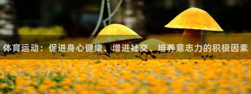 球王会体育：体育运动：促进身心健康、增进社交、培养意志力的积极因素