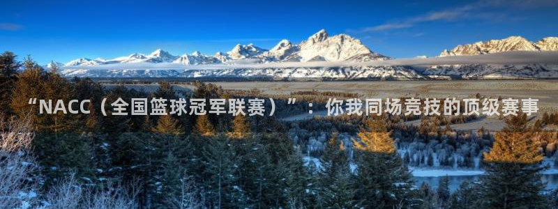球王会体育：“NACC（全国篮球冠军联赛）”：你我同场竞技的顶级赛事