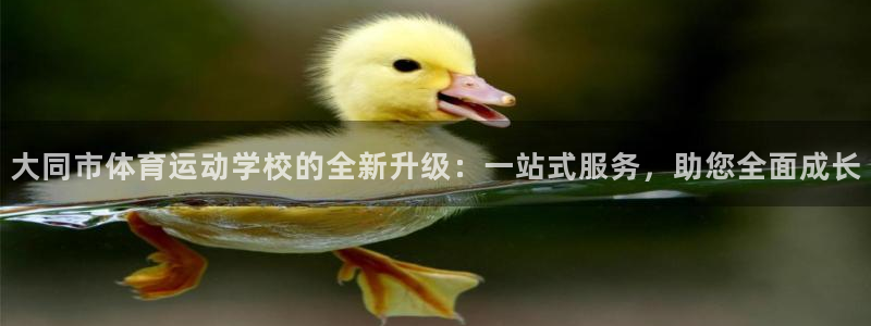 球王会体育：大同市体育运动学校的全新升级：一站式服务，助您全面成长