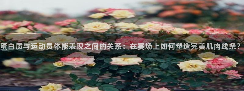 球王会体育：蛋白质与运动员体能表现之间的关系：在赛场上如何塑造完美肌肉线条？