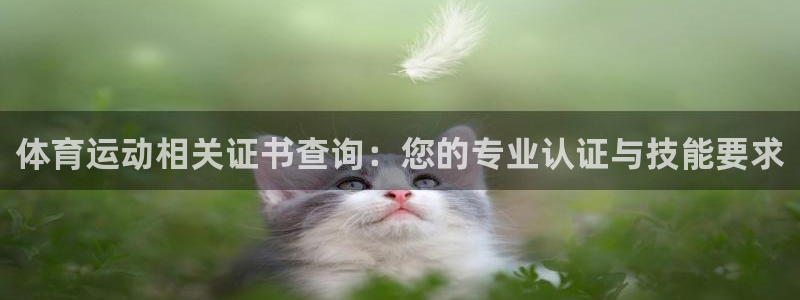 球王会体育：体育运动相关证书查询：您的专业认证与技能要求