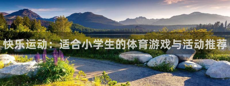 球王会体育：快乐运动：适合小学生的体育游戏与活动推荐