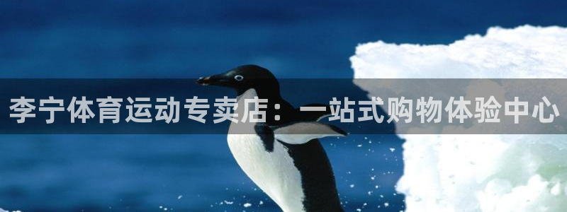 球王会体育：李宁体育运动专卖店：一站式购物体验中心